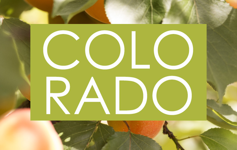 Albaricoque_colorado