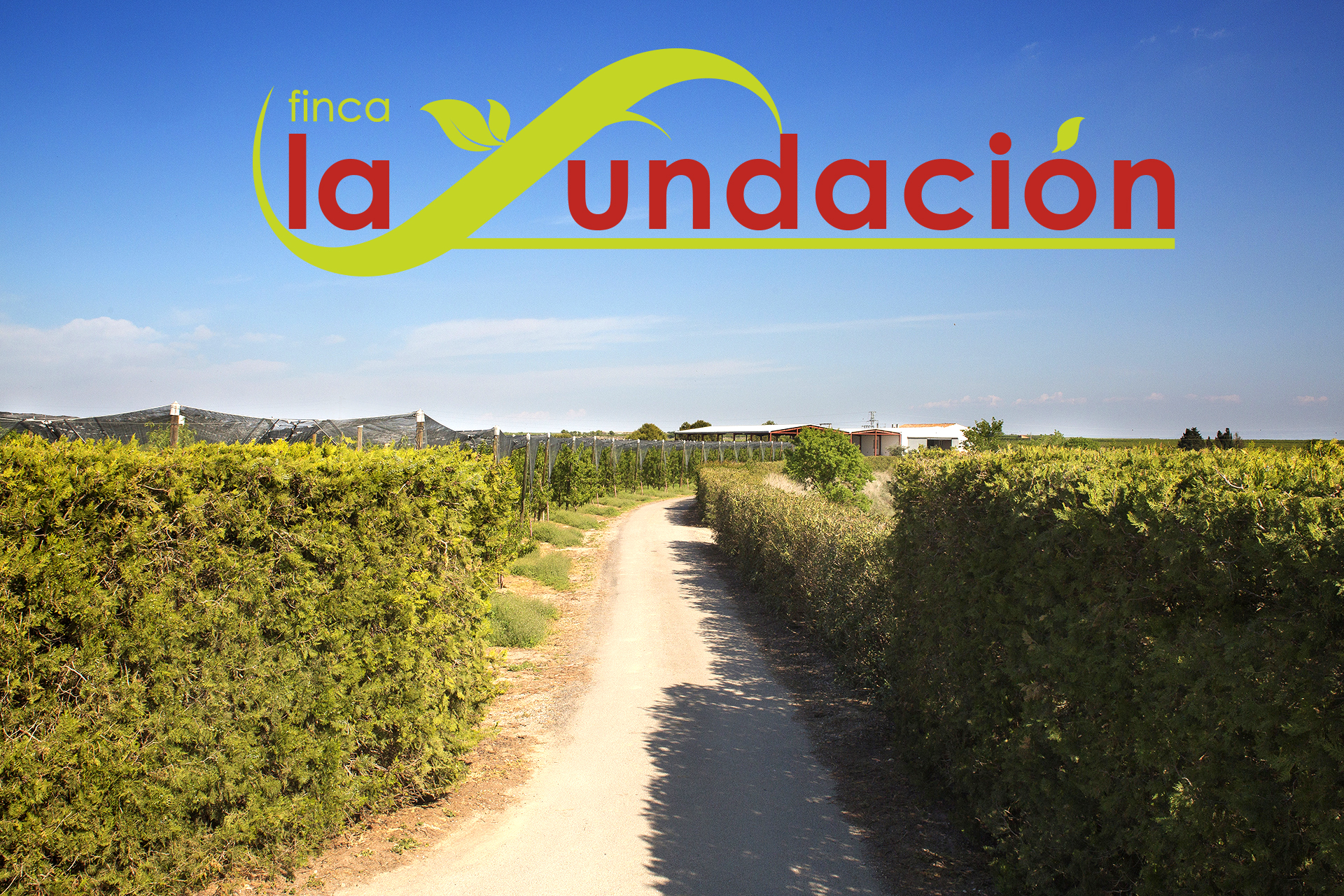 EntradaFincaLa Fundacion