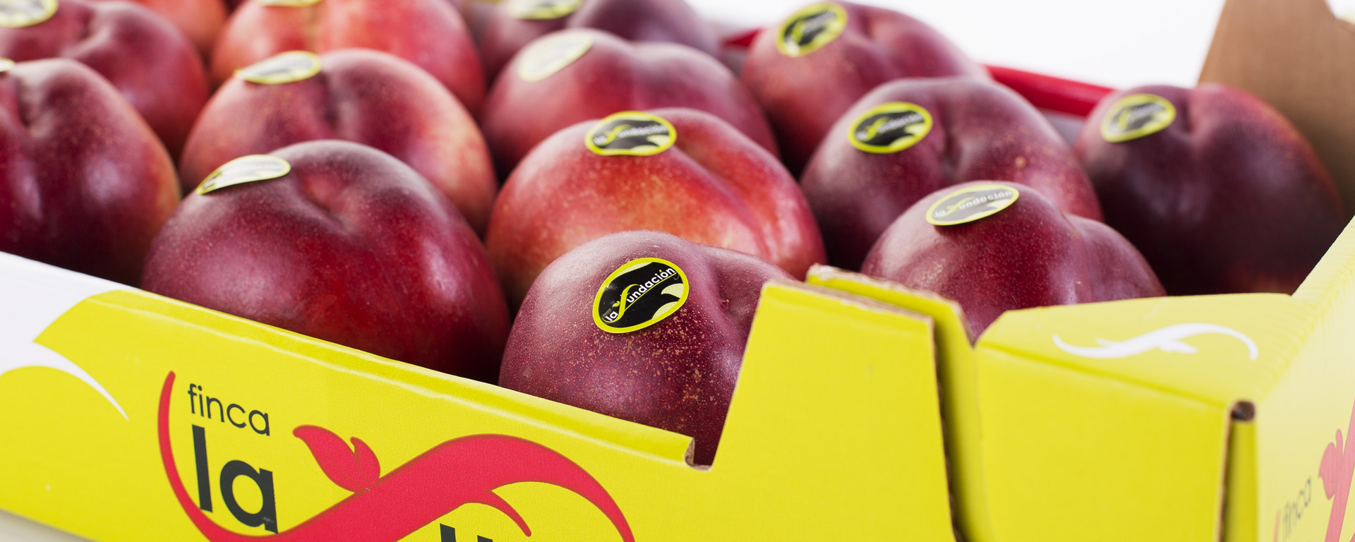 imagen_para_calendario