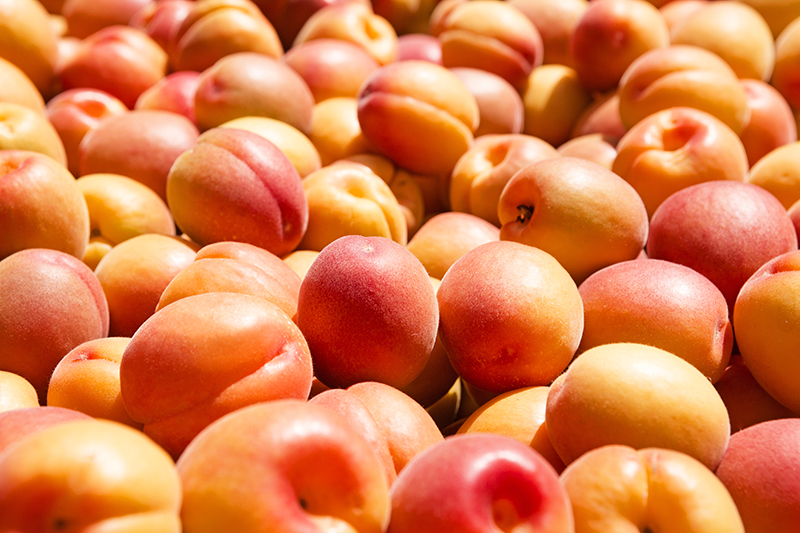 Albaricoque_palet