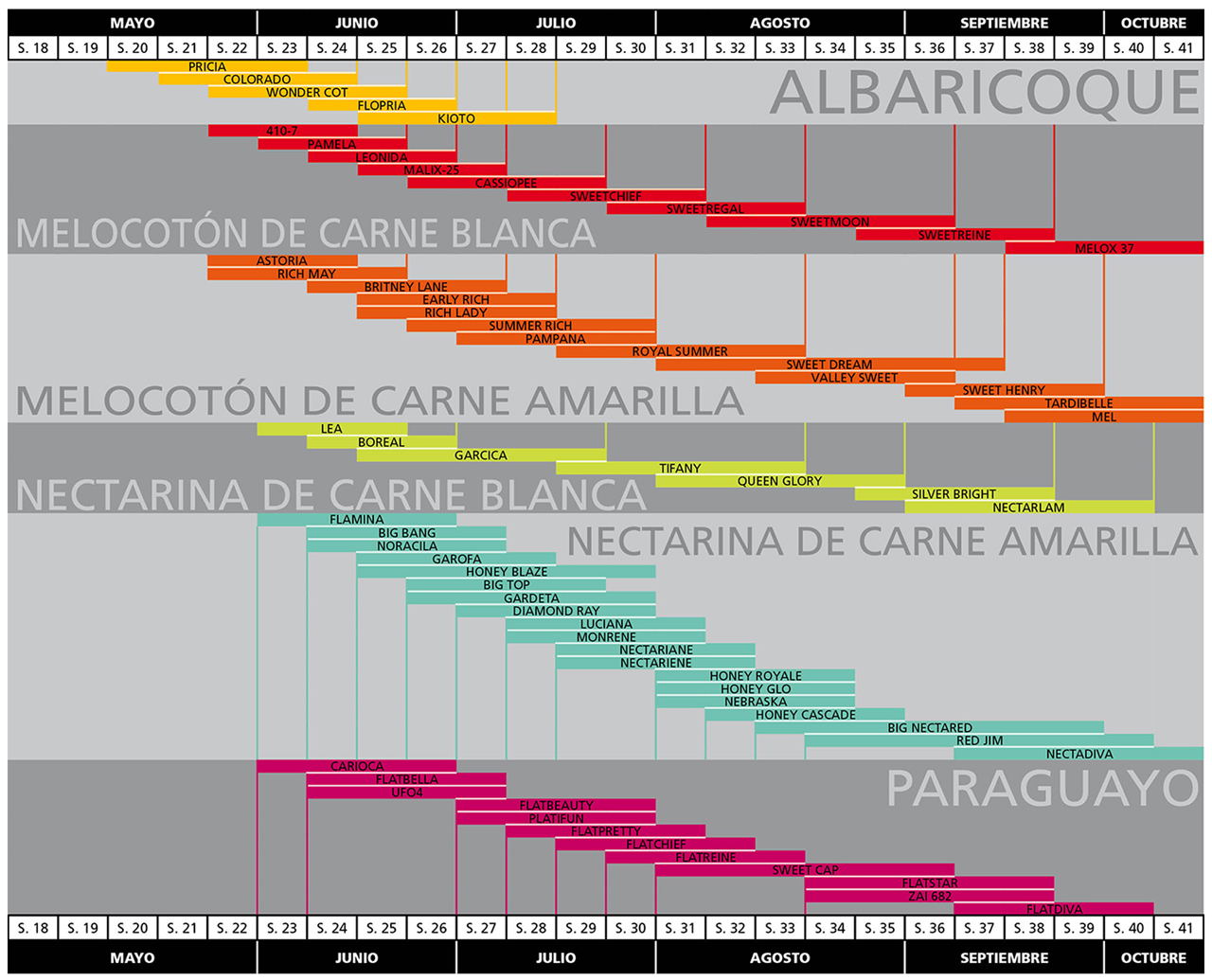 calendario de variedades