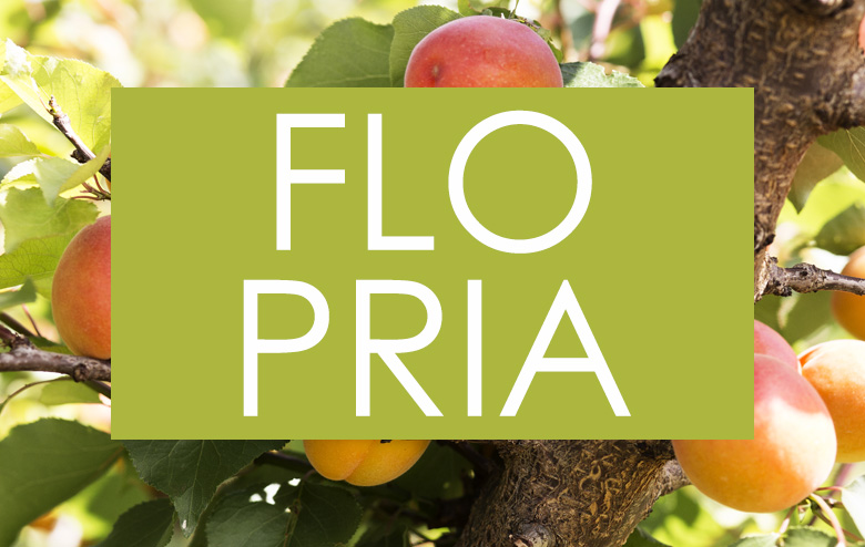 Albaricoque_FLOPRIA