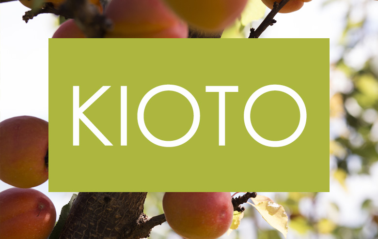 Albaricoque_KIOTO