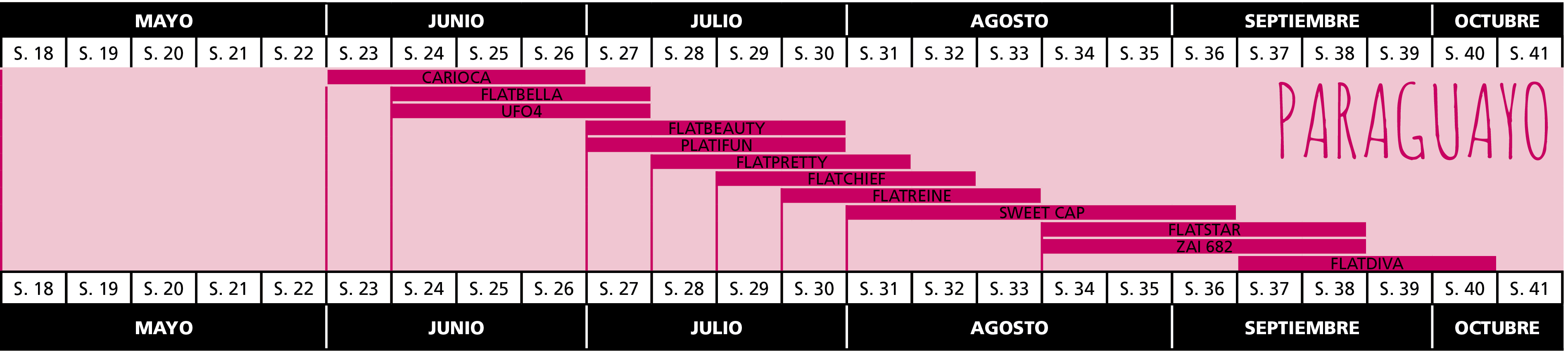 calendario paraguayo