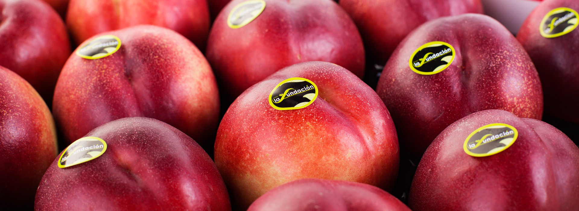 imagen_seccion_nectarina