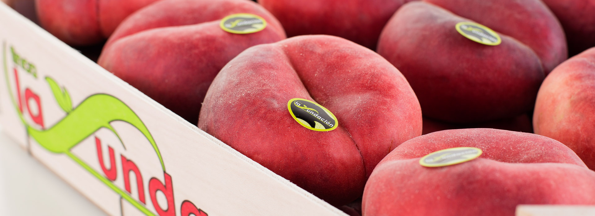 imagen_seccion_paraguayo